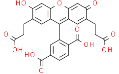 [Medlife]BCECF|85138-49-4