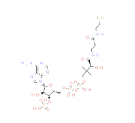 [Perfemiker]85-61-0|辅酶 A|Coenzyme A hydrate