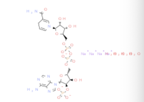 2646-71-1|β-***腺嘌呤二核苷磷酸盐四钠盐|NADPH
