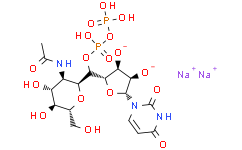 [Medlife]UDP-N-acetyl-D-glucosamine (sodium salt)|