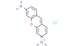 [Medlife]Pyronin Y|92-32-0