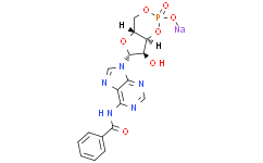 [Medlife]6-Bnz-cAMP sodium salt|1135306-29-4