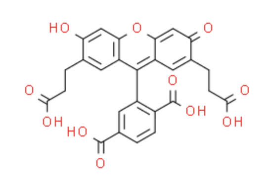 [Perfemiker]85138-49-4|2,7-双-(羧乙基)-羧基-荧光素|BCECF