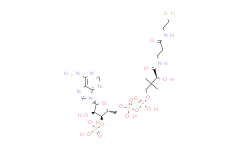 [Perfemiker]85-61-0|辅酶 A|Coenzyme A hydrate，技术资料