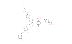 Lapatinib Ditosylate：超越医学领域的优秀分子