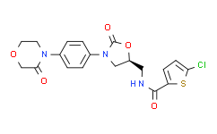 Rivaroxaban：引领生物研究新篇章