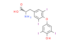 L-Thyroxine：生物研究领域的璀璨明珠，揭示甲状腺激素的奥秘