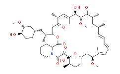 Rapamycin：科研领域的多面手，mTOR特异性抑制剂的卓越表现