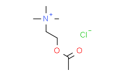 氯化乙酰胆碱（Acetylcholine Chloride）在生物研究中的前沿探索与产品应用