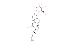 Ginsenoside Rh2：珍稀人参皂苷在抗癌领域的研究进展与产品应用