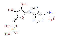 腺苷-5'-磷酸一水合物（Adenosine 5'-monophosphate monohydrat