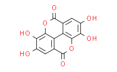 鞣花酸：科研领域的新星，开启健康与美的双重革命