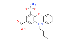 布美他尼：生物研究中的新型药物探索